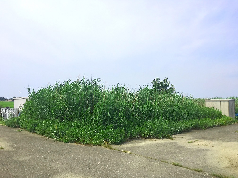 江南区亀田早通　売地