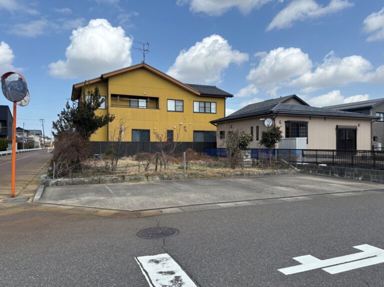 和納 売地